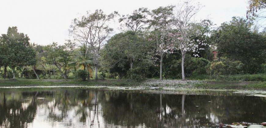 Johnny’s Green Acres, Tobago