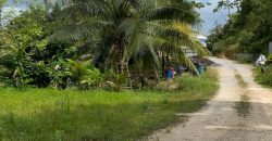 Johnny’s Green Acres, Tobago