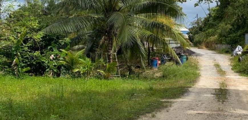 Johnny’s Green Acres, Tobago