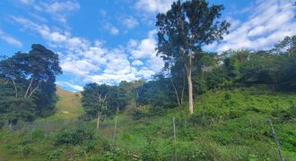 Arnos Vale Land, Tobago