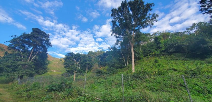 Arnos Vale Land, Tobago